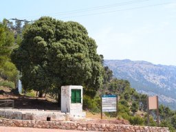 Valle de Leiva-Perdiz 2010